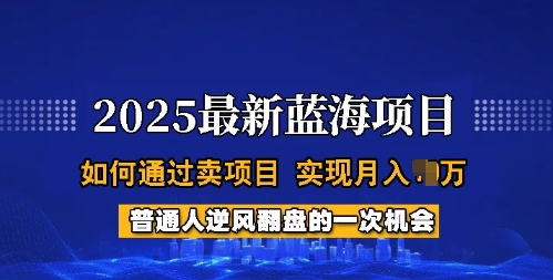 2025蓝海项目，普通人如何通过卖项目，实现月入过W，全过程【揭秘】羊毛-地址-薅羊毛-搜索-券-活动-领-微信-安卓-APP-解锁VIP-破解-地址-网络资源-教程-软件-源码-PHP-网站-教程-H5-地址-插件-模板-主题-电脑-软件-破解-地址-教程-网络资源-游戏-系统北海资源社_www.ssvt.top