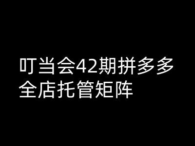叮当会拼多多打爆班原创高阶技术第42期，拼多多全店托管矩阵羊毛-地址-薅羊毛-搜索-券-活动-领-微信-安卓-APP-解锁VIP-破解-地址-网络资源-教程-软件-源码-PHP-网站-教程-H5-地址-插件-模板-主题-电脑-软件-破解-地址-教程-网络资源-游戏-系统北海资源社_www.ssvt.top